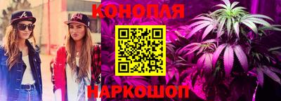 прущие грибы Гусев