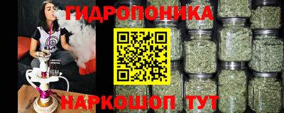 прущие грибы Гусев