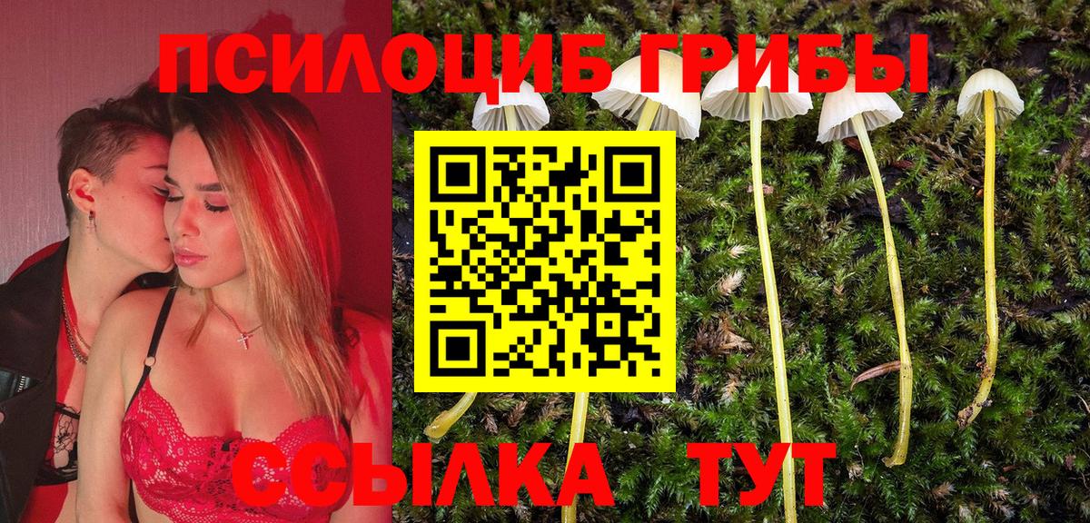 Нововоронеж  Галлюциногенные грибы Psilocybine cubensis  Псилоцибиновые грибы GOLDEN TEACHER  Вход с VPN 