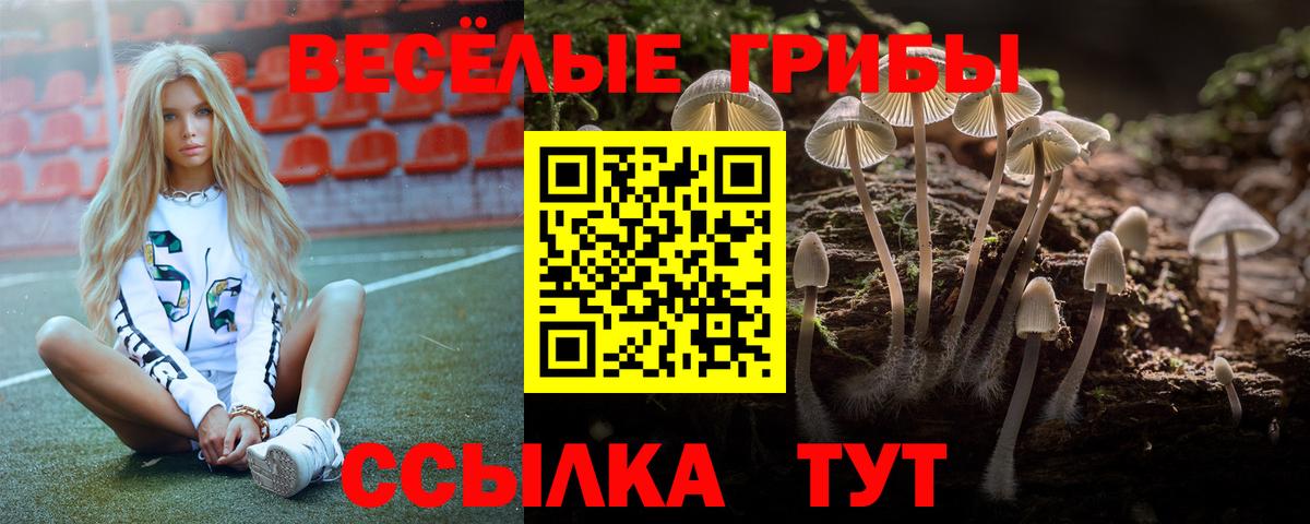 Галлюциногенные грибы MAGIC MUSHROOMS Нововоронеж